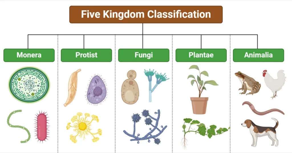 Kingdom Plantae: A Comprehensive Overview of the Plant Kingdom 1 Five-Kingdom-Classification