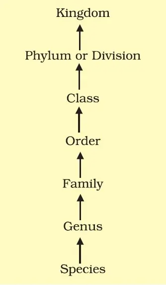 Understanding Taxonomy, Taxonomic Categories and Hierarchy 1 Understanding Taxonomic Categories and Hierarchy