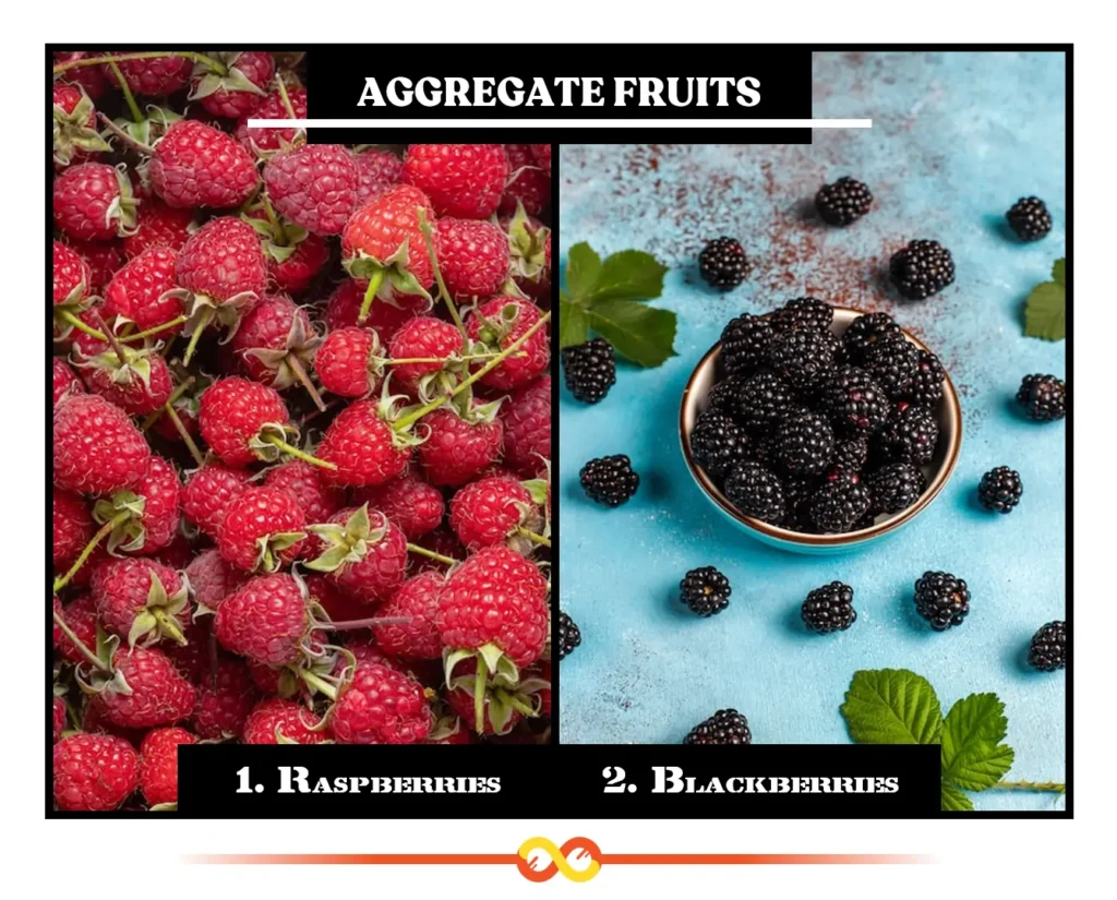 Aggregate Fruits (Clusters of Miniature Delights), Raspberries and Blackberries Aggregate Fruits (Clusters of Miniature Delights), Raspberries and blackberries