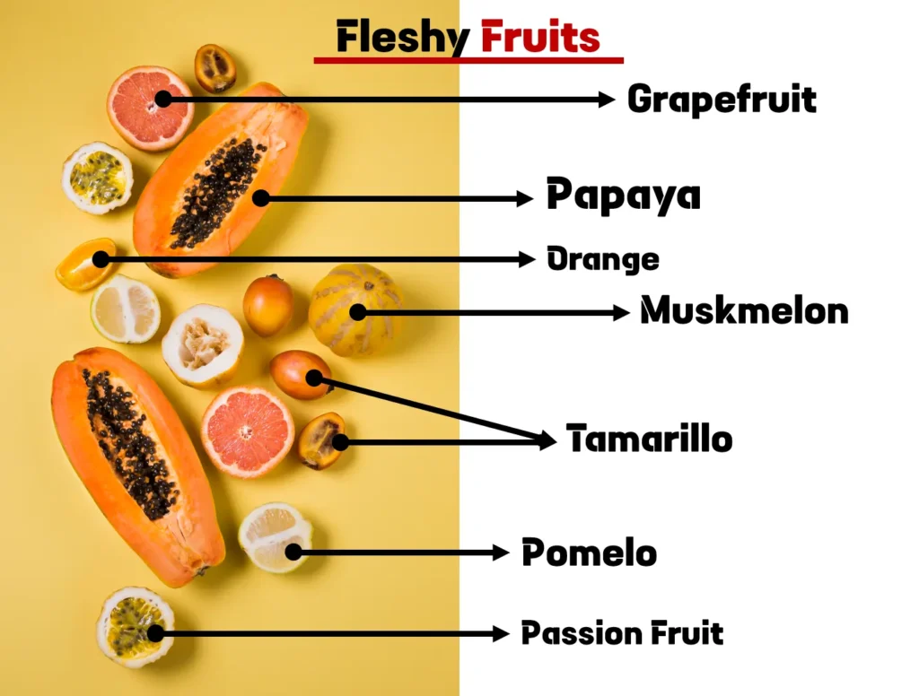 Fleshy Fruits: Nature’s Edible Delights Fleshy Fruits: Nature’s Edible Delights