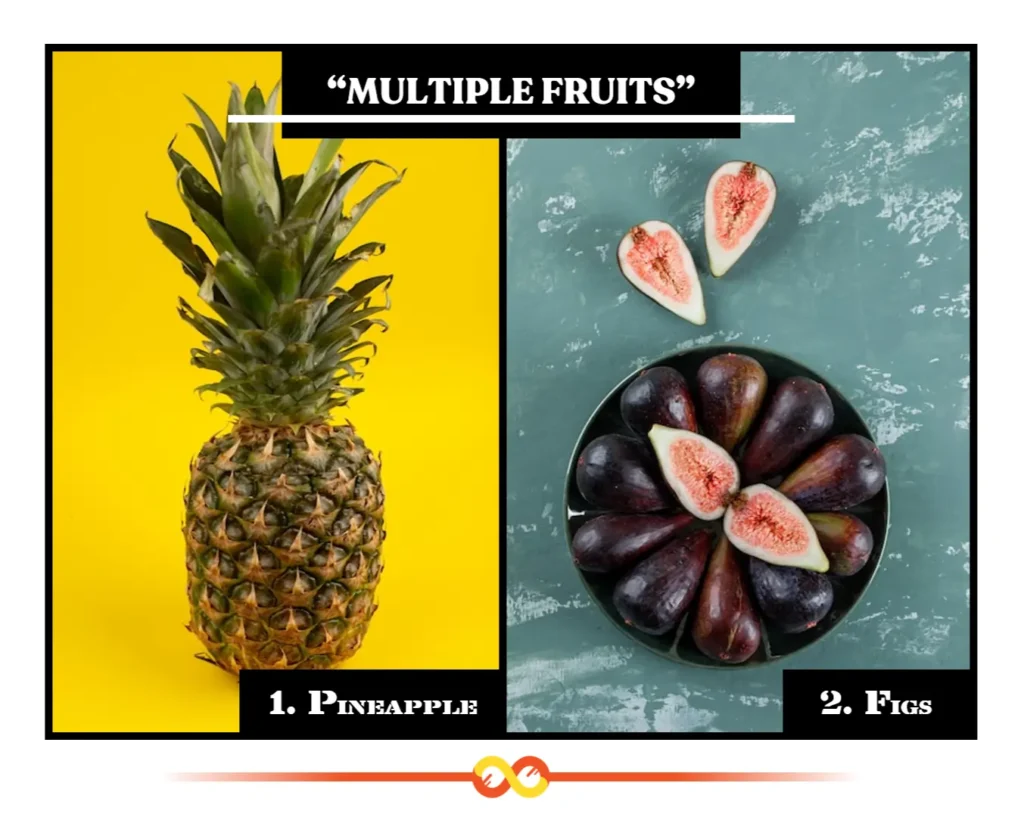 Multiple Fruits (Fused Floral Masterpieces), Pineapples and Figs Multiple Fruits (Fused Floral Masterpieces), Pineapples and Figs
