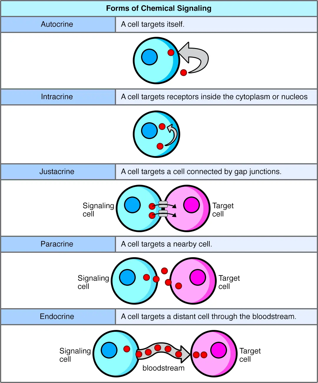 Types of Cell Signaling Forms of Cell Signaling