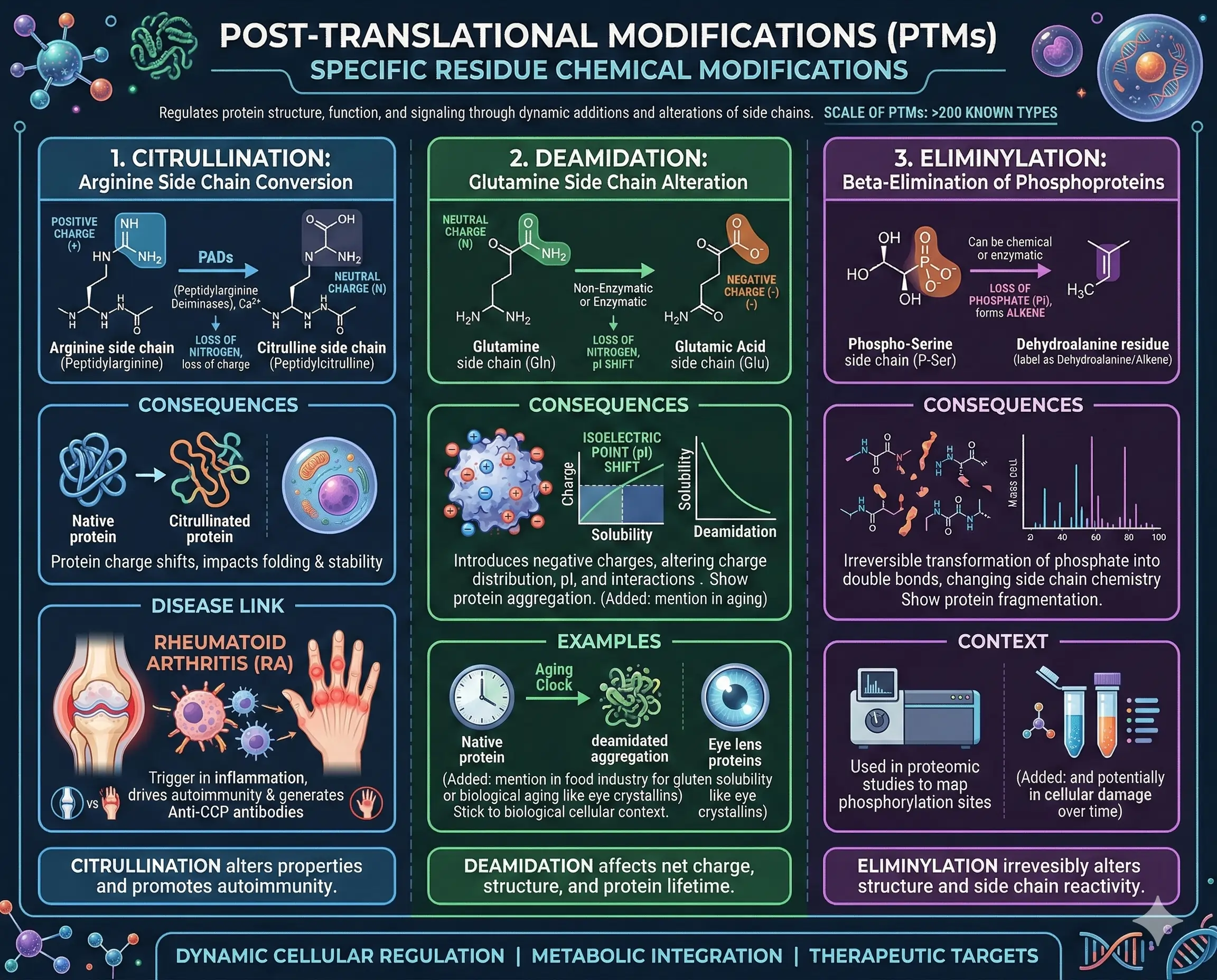 Chemical Modifications of Amino Acids Chemical Modifications of Amino Acids