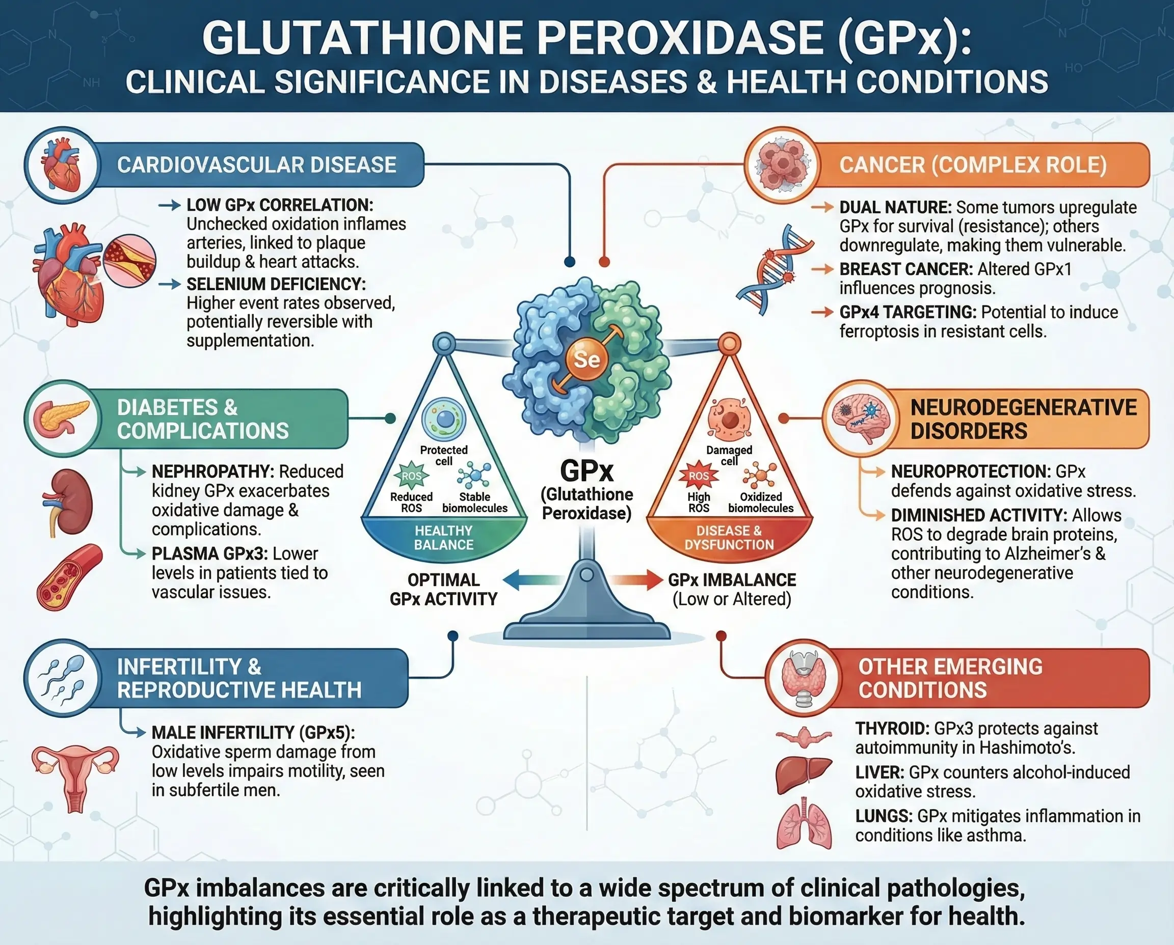Clinical Significance: GPx in Diseases and Health Conditions Clinical Significance of GPx in Diseases and Health Conditions
