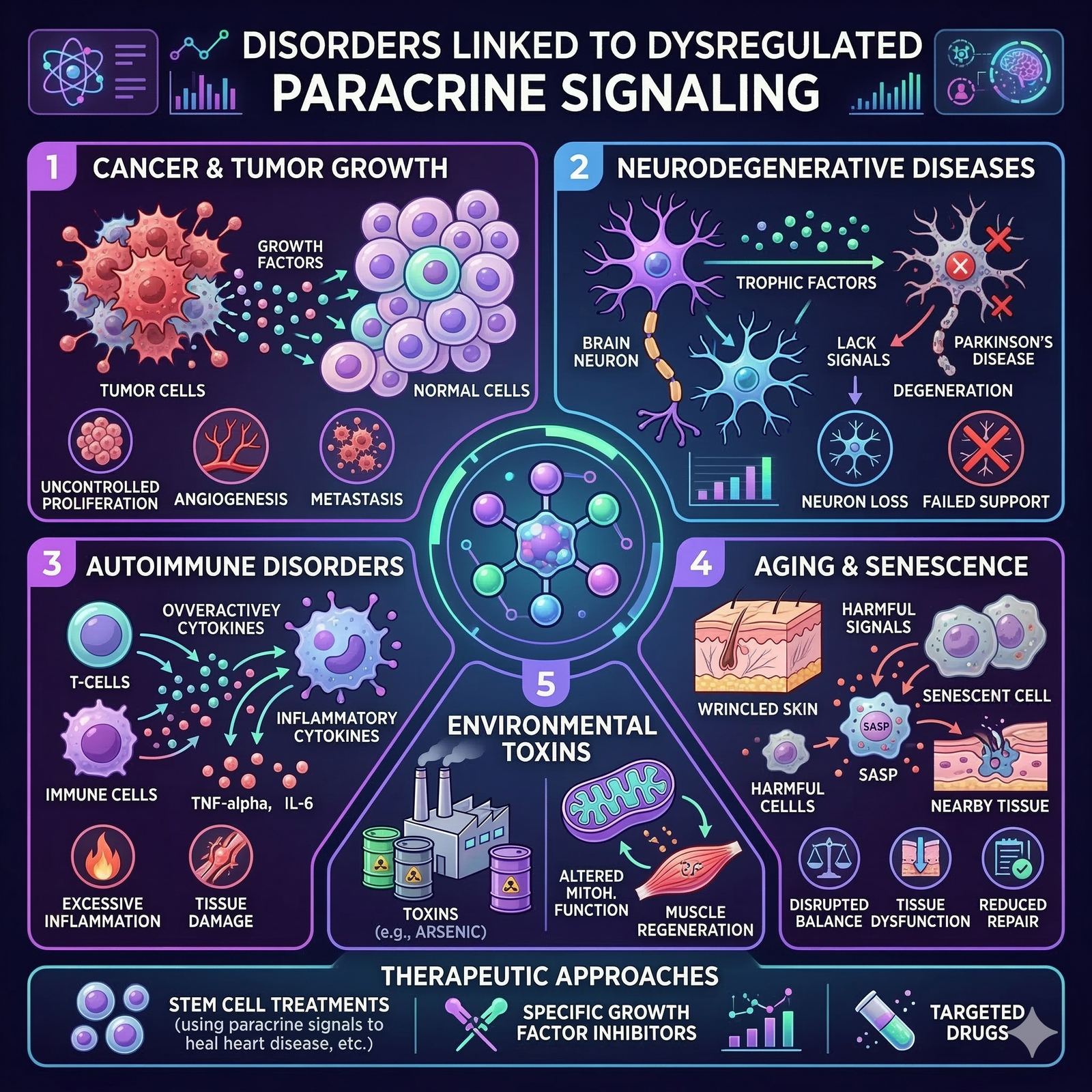 Disorders Related to Paracrine Signaling