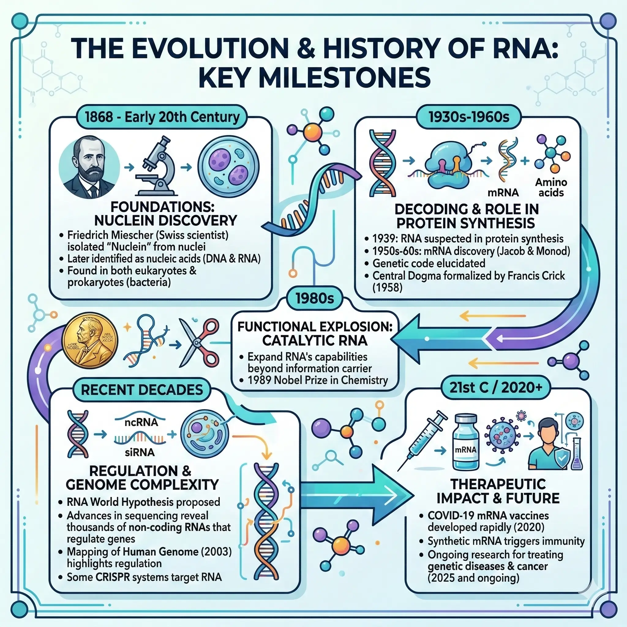History of RNA History of RNA