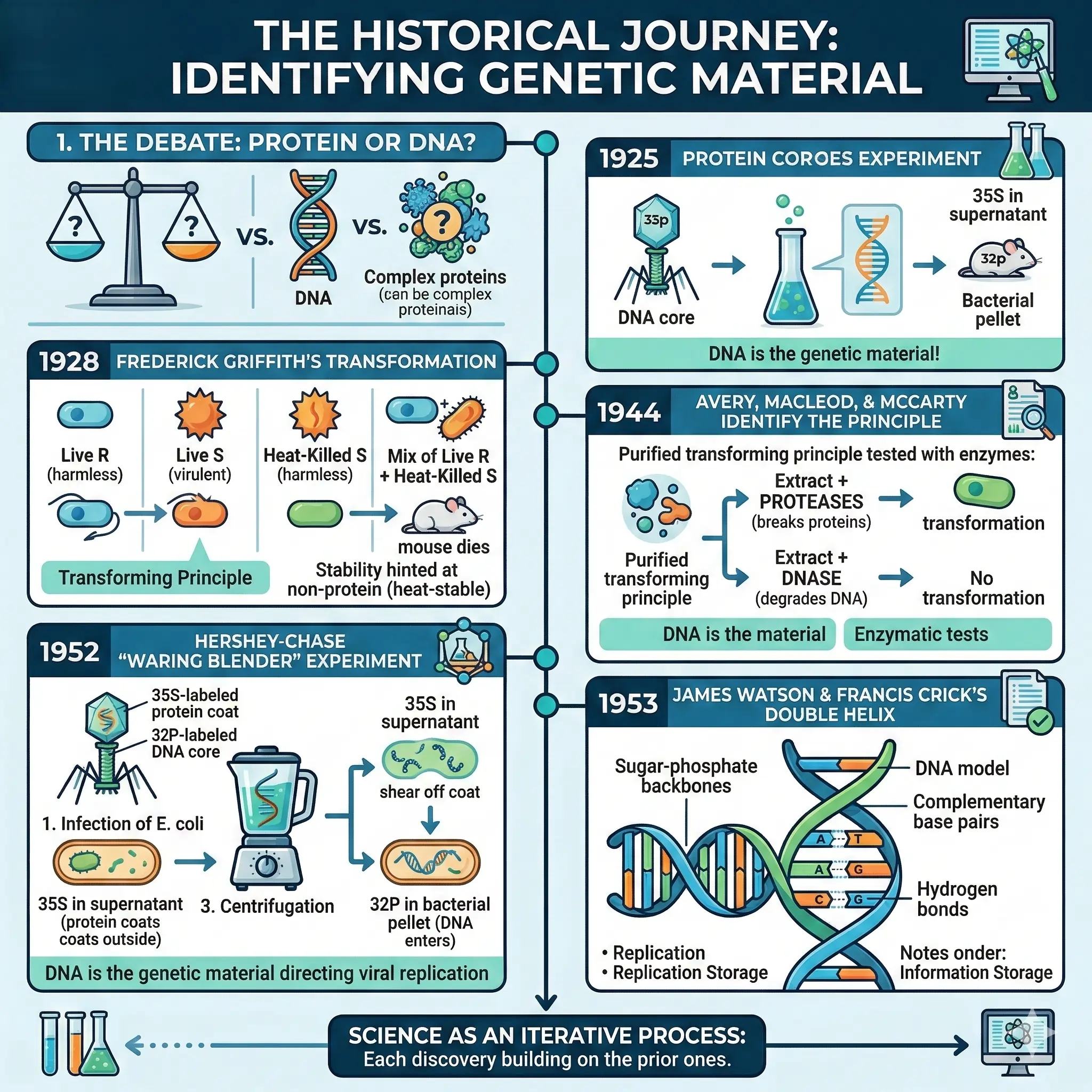 The Historical Journey in Identifying Genetic Material The Historical Journey in Identifying Genetic Material