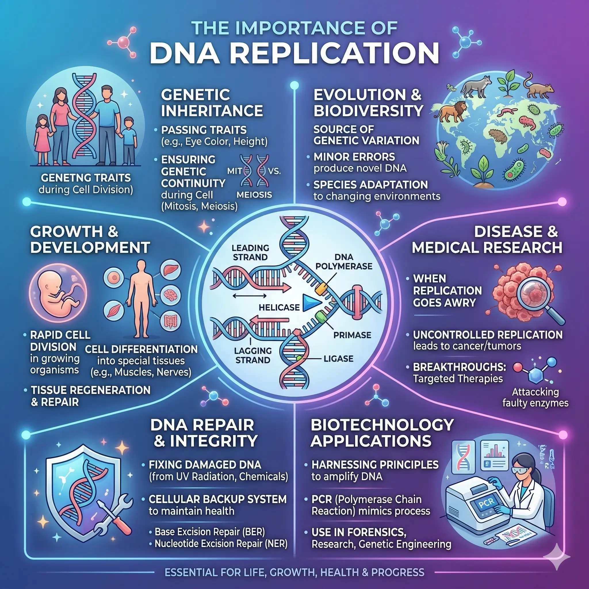 The Importance of DNA Replication